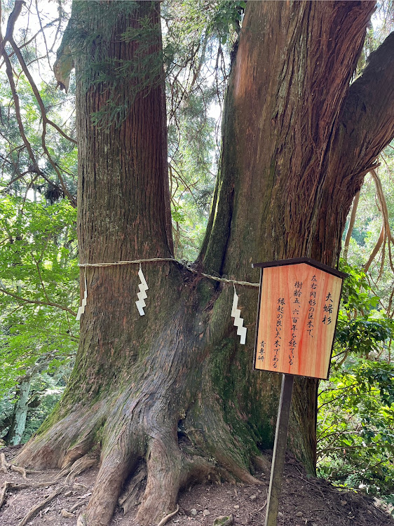 デリカD:5の大山登山・清水屋みやげ店のかき氷は大山登った後で・今増量期だから、キツかった・YAMAP上消費カロリー1721kcal・YAMAPアプリ初めて使ったけど良いに関するカスタム事例の投稿画像11枚目