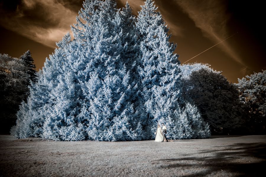 Fotógrafo de bodas Otto Gross (ottta). Foto del 20 de septiembre 2018