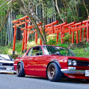 スカイライン