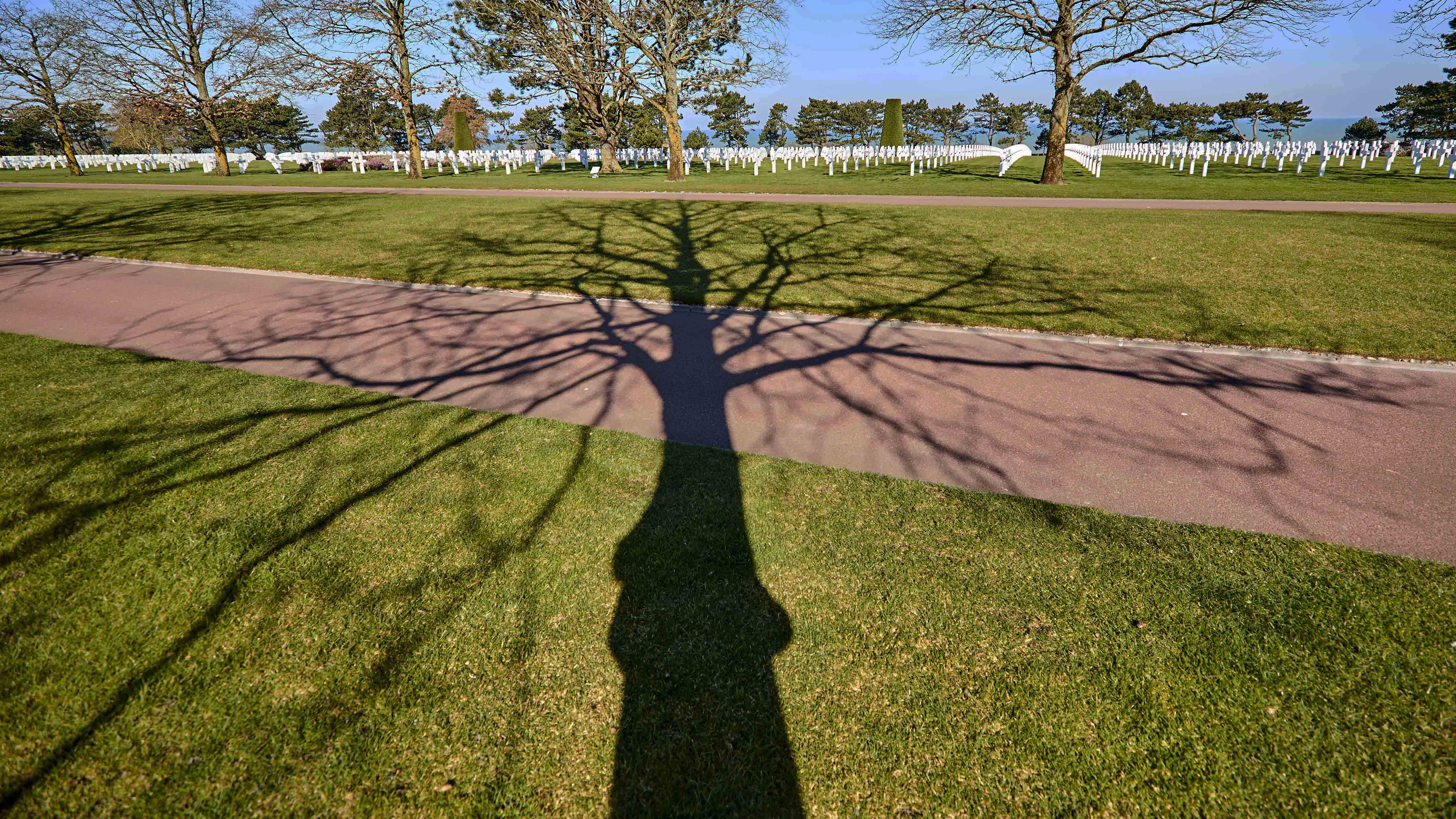 Albero della Vita di Pia