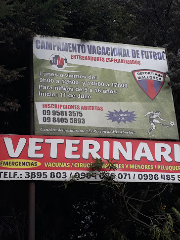 Opiniones de Campamento Vacacional De Futbol en Quito - Campo de fútbol