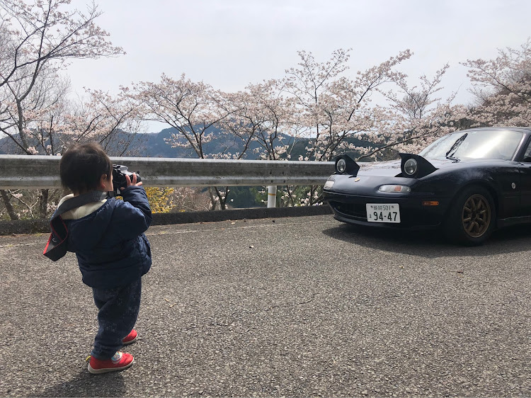 ロードスターの大和TUNE・桜とコラボ・構図勉強中・カメラ未熟者・加茂神社に関するカスタム事例の投稿画像6枚目