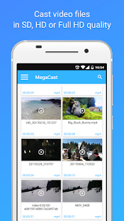MegaCast - Chromecast Pro Screenshot