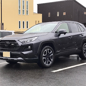 RAV4 MXAA54