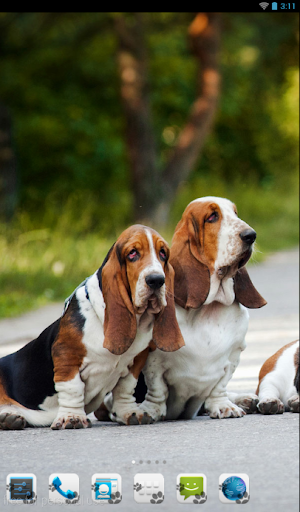 Basset Hound Theme - Nova ADW