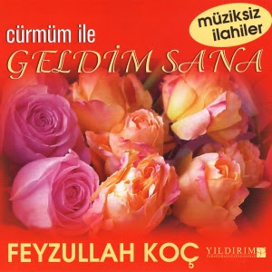 Feyzullah Koç Full Albümleri CshkVfHTru9J_HjsuPsBFUV4tvibrLaMvQaf3EsML-I=s300-no