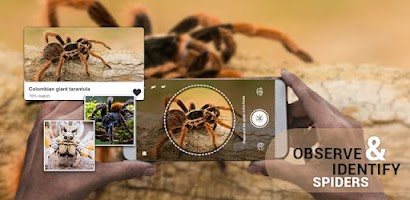 Spider Identifier App by Photo Screenshot 1 of 9