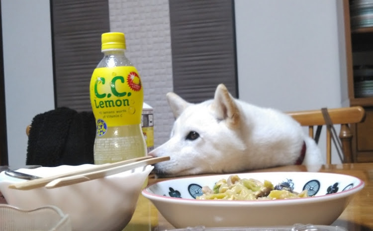 ハイエースバンのパチンコ屋さんでパッチパチ・全国チビ箱連合会・岸壁では注意に関するカスタム事例の投稿画像16枚目