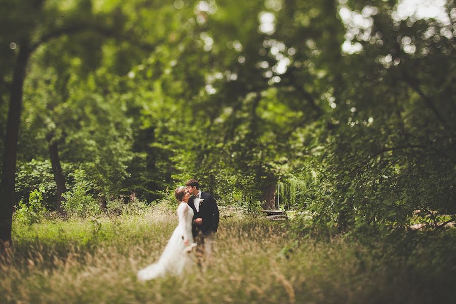 Fotógrafo de casamento Evgeniya Batysheva (b-bee). Foto de 8 de abril 2015