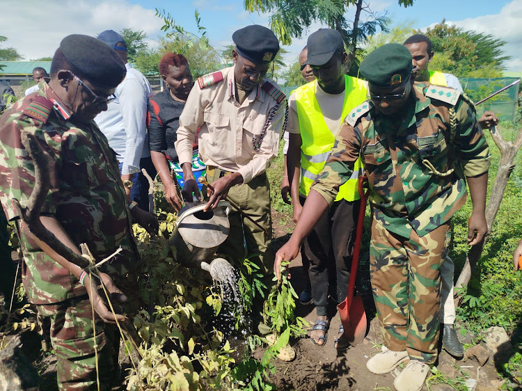 Isiolo County Commissioner George Omoding plants a tree during the National the tree planting exercise on May 10, 2024.