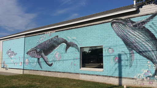 Ocean Mammals Mural