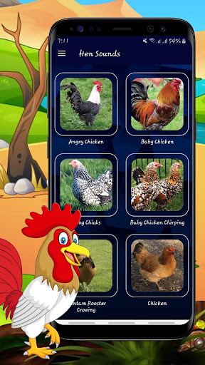 Hen Sound - Chicken Sounds - Rooster Sound