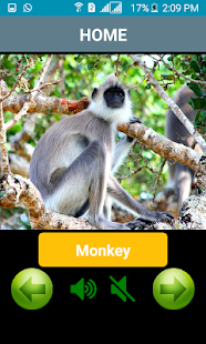 How to get The Voice Of Animals lastet apk for android
