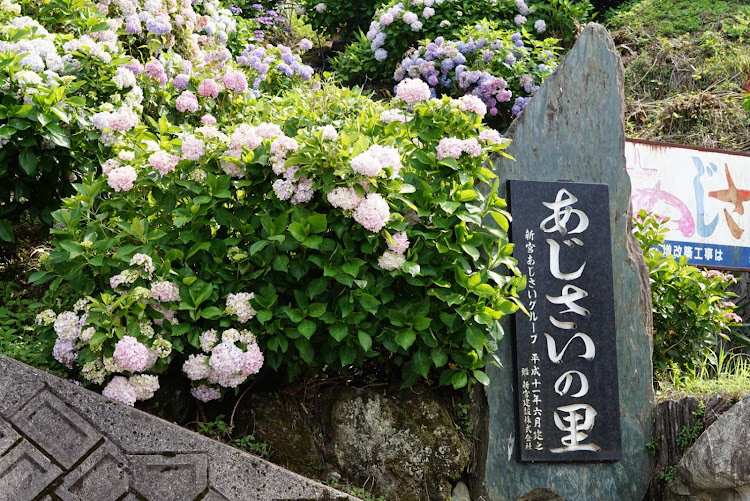 トシさんが投稿したドライブ・紫陽花・新宮・徳島・剣山スーパー林道に関するカスタム事例の投稿画像9枚目
