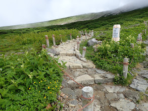 ここで左の千蛇ヶ池へ