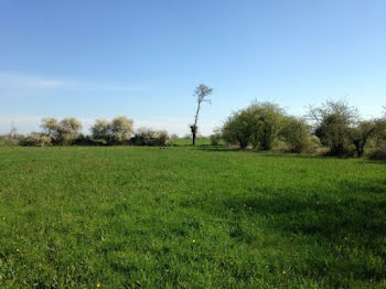 terrain à Azay-le-Rideau (37)