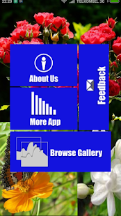 How to download Flower Wallpapers QHD lastet apk for bluestacks