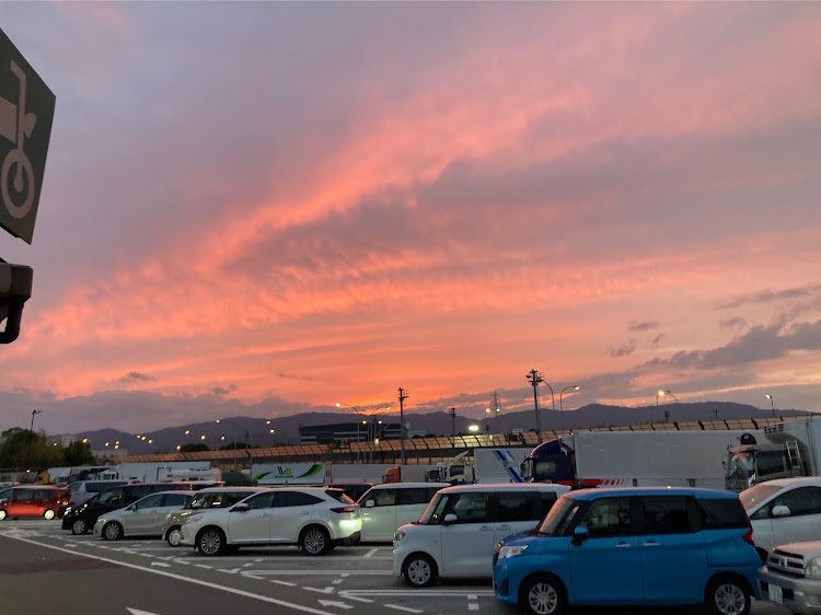 アバルト 595のWING DAY 2023・鈴鹿ツインサーキット・10月も宜しくお願いしますに関するカスタム事例の投稿画像10枚目