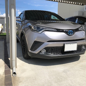 C-HR ZYX10