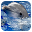 Dolphins. Live Video Wallpaper Download on Windows