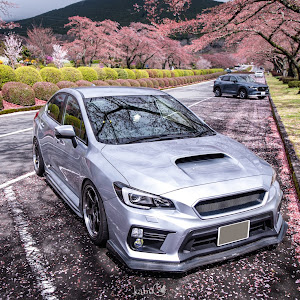 WRX STI VAB