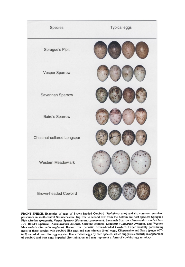 Page [unnumbered] of Differential Ejection of Cowbird Eggs and Non-Mimetic Eggs by Grassland Passerines