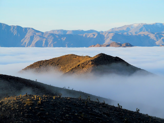 Foggy ridge