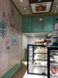 Theobroma photo 8