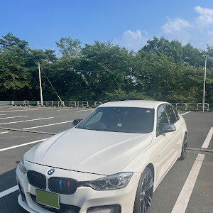 320i M Sport (F30)