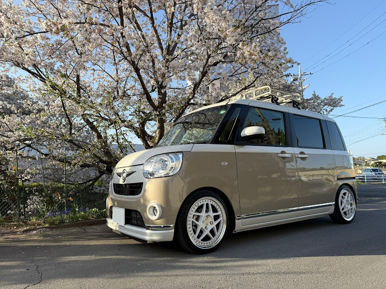 ムーヴキャンバスの桜と愛車・4月もよろしくお願い致します🌸・ドライブに関するカスタム事例の投稿画像2枚目