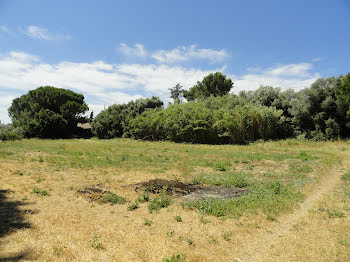 terrain à Saint-Gilles (30)