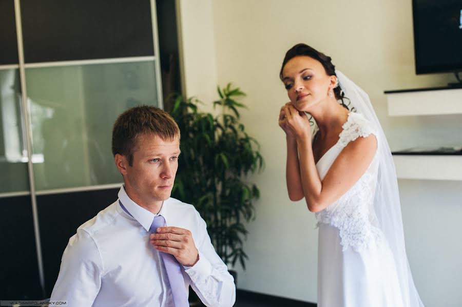 Wedding photographer Vladimir Polyanskiy (vovoka). Photo of 30 January 2015