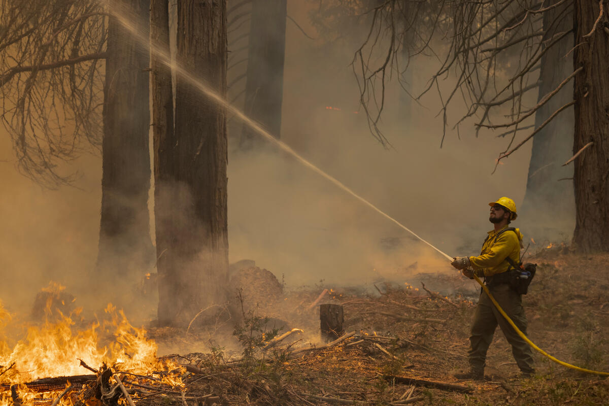 Record Wildfires and Worsening Drought Conditions in California. © David McNew / Greenpeace