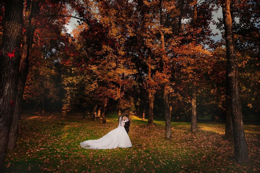 Fotógrafo de casamento Roman Blagov (telegraf). Foto de 21 de junho 2017