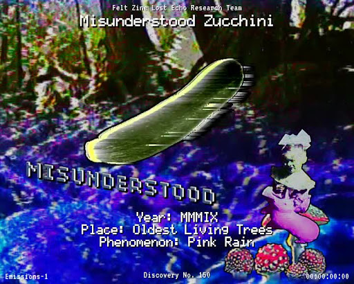 #150 | Misunderstood Zucchini