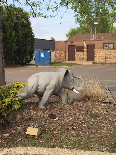 Happy Elephant