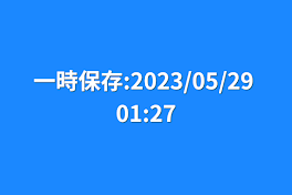 一時保存:2023/05/29 01:27