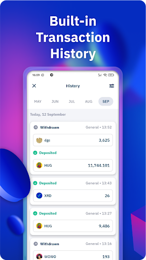 Screenshot Radix Wallet