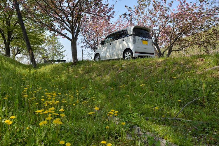 N-WGN カスタムの岡山・桜・八重桜に関するカスタム事例の投稿画像3枚目