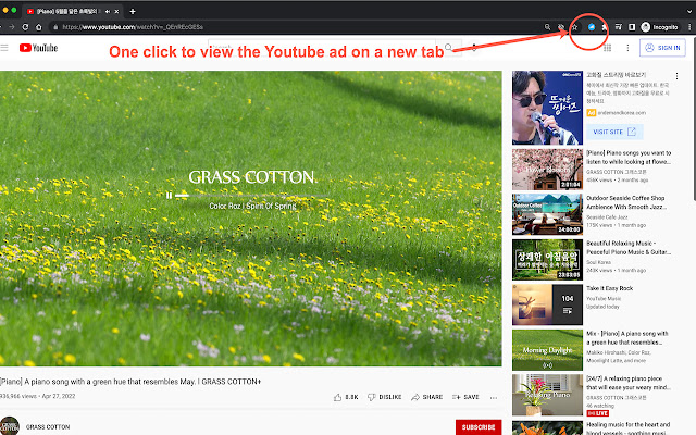 YouTube Ad URL Grabber chrome extension