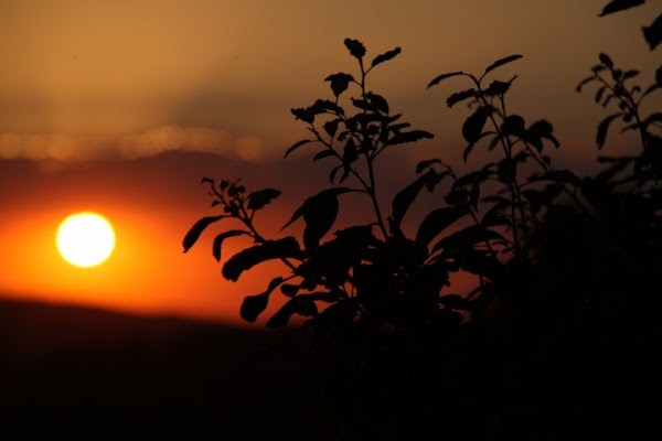 Controluce di supermaio