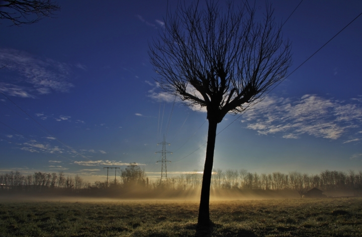 Una mattina d'inverno.. di DMax