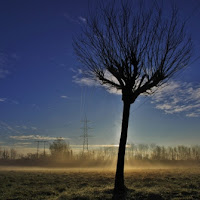 Una mattina d'inverno.. di 