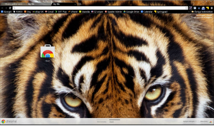 Sumatran Tiger theme chrome extension