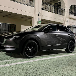 CX-30 DM8P