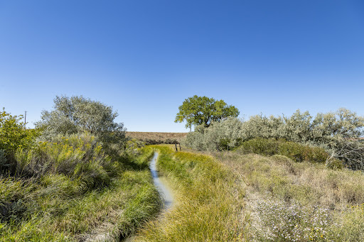 Land 1