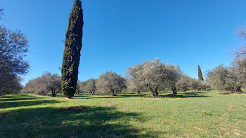 propriété à Trans-en-Provence (83)