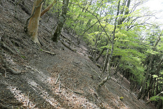 左から破線路と合流