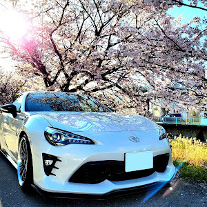 86 ZN6