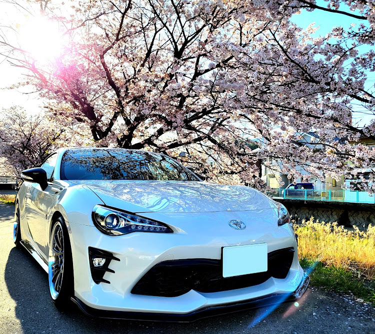 86の86BRZ・86×桜🌸・86×夕日🌇・86×お尻🍑・86のある生活に関するカスタム事例の投稿画像1枚目